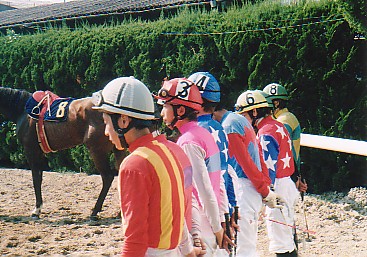 日本海特別・騎乗命令